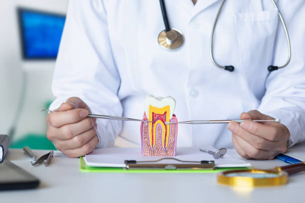 Best Emergency Tooth Extraction in Montpelier, VT